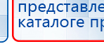 СКЭНАР-1-НТ (исполнение 01)  купить в Пензе, Аппараты Скэнар купить в Пензе, Дэнас официальный сайт denasdoctor.ru